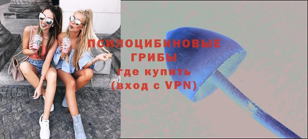 винт Абаза