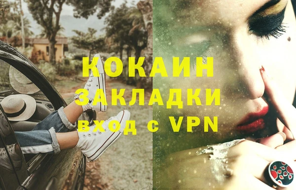 винт Абаза