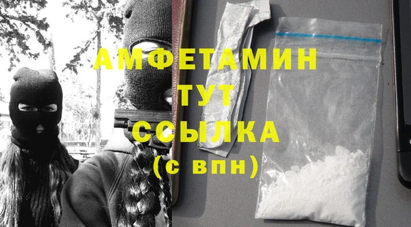 винт Абаза
