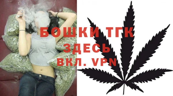 винт Абаза