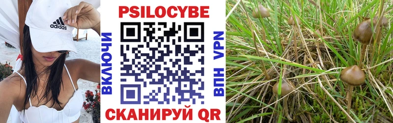 Галлюциногенные грибы Psilocybe  Игарка 